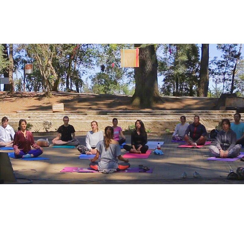 Meditación grupal al aire libre